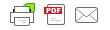 Печать / PDF